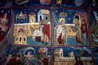 Vignettes from the life of-.jpg (265897 bytes)
