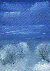 Seascape