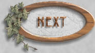 Next
