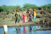 Fetching water�Punjab