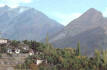Apricot blossom�Hunza