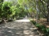 Hyde Park
