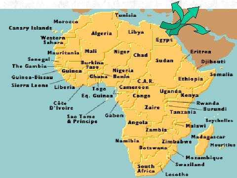 Dispersal of Hominids from Africa