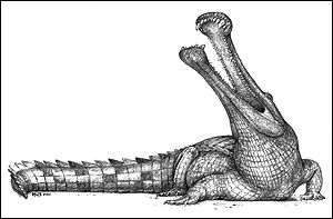 Super-crocodile Sarcosuchus imperator, Michael W Skrepnick