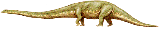 Diplodocus
