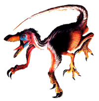 Velociraptor