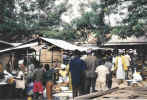 Gbarnga2.jpg (134198 bytes)