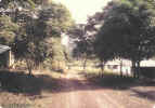 Kplatota_road.jpg (89127 bytes)