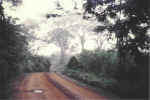 sinyea_road.jpg (73639 bytes)
