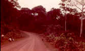 upcountry road.JPG (101312 bytes)