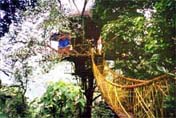 Treehouse.