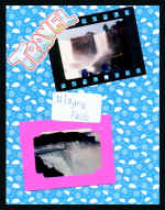 scniagra01.jpg (119292 bytes)