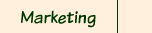 Marketing Services