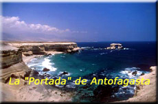 laport