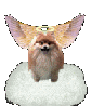 HELLO..IT'S ME THE WOLF AGAIN: YOU MAY CLICK ON ME TO QUICK LINK TO THE BEAR CAVE SYSTEM OF CAVES.