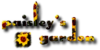 Welcome to Paisley's Garden!                  This image and photo Copyright 1999 Paisley
