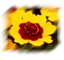 flower 2