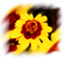 flower 3