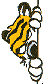 edge