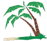 Palm