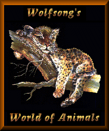 Wolfsong's World of Animals