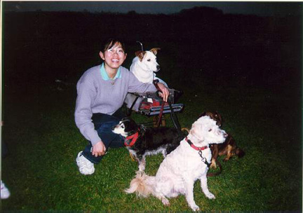 Dogs