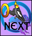 The Cockatiel Circle Next Logo