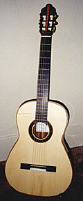 my Woodfield guitar