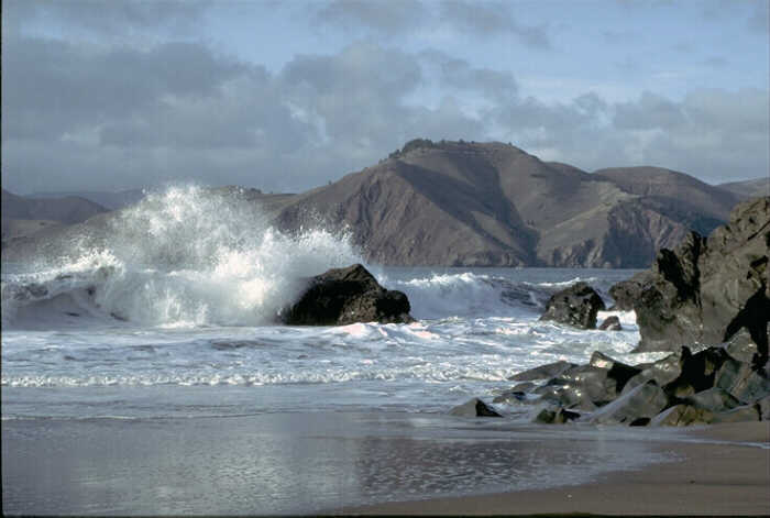 Click to return to the poem that got you here.