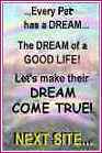 Dream Come True Next 
Site