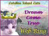Catalina Island Cats DREAM COME 
TRUE Web Ring