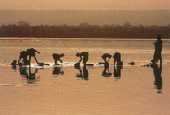 Le Niger