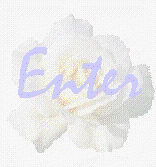 Enter Chateau de l Amour