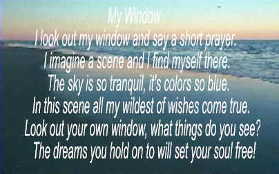 My Window by Judy Hamilton