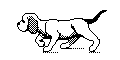 Puppy1