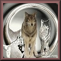 Spirit of The Great Wolf
