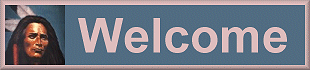 Welcome Button