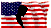 Thank you to all the brave men and women of our country.