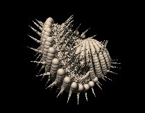 anemone01b