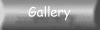 My Gallery