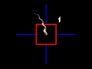 Form