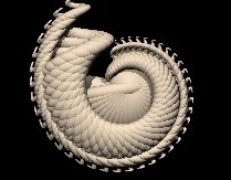 shell01