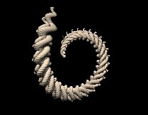 shell02