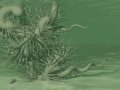 Underwater