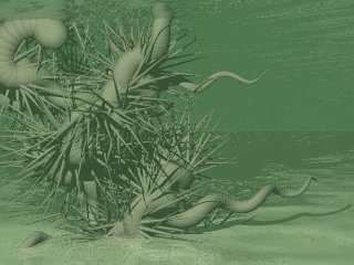 Underwater