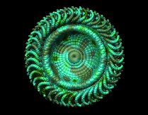 wheel03