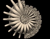 wheel07b