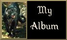 My Album