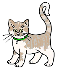 Bounce-the-Cat