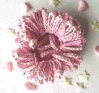 head3.GIF - 8940 Bytes